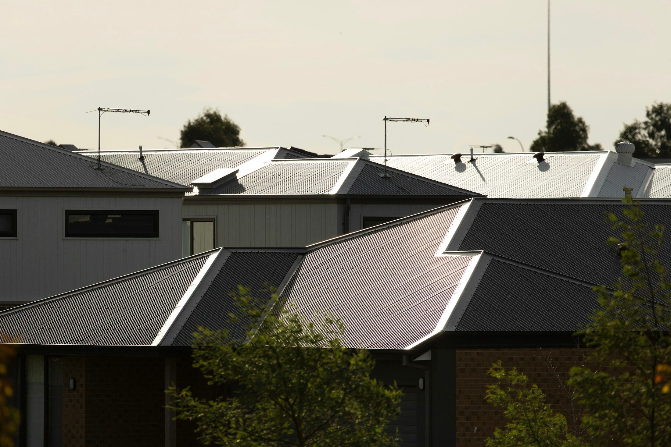 Metal roofs of new suburban houses under a pale sky